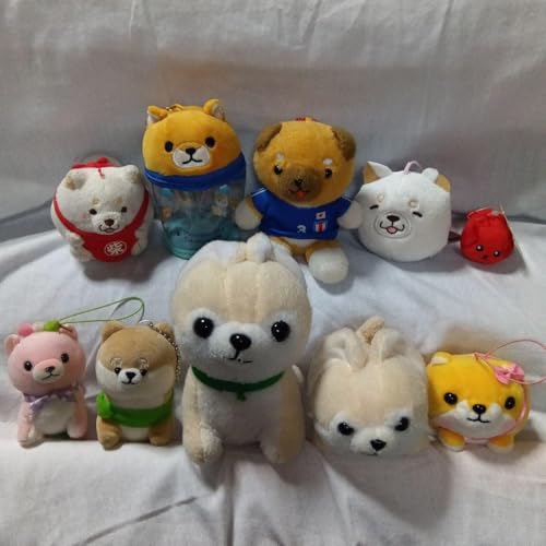 ΎOZ ʂ Xgbv |[` ~EEČ etcPO_