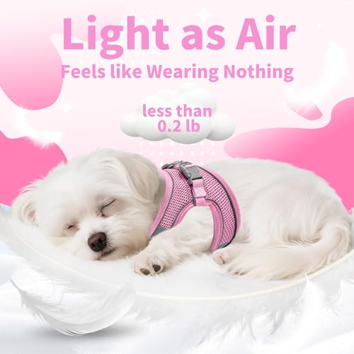 Image of AIITLE Step in Dog Harness and Leash Set - No Pull Escape Proof Vest Harnesses with Soft Mesh and Reflective Bands, Adjustable Pet Outdoor Harnesses for Small and Medium Dogs Pink M