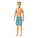 Barbie Beach Ken Doll