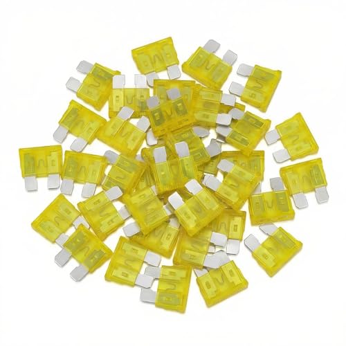 (80Pcs) 20 Amp Standard Fuse 20A Car Blade Fuses for Car/RV/Truck/SUV/Motorcycle/Boat