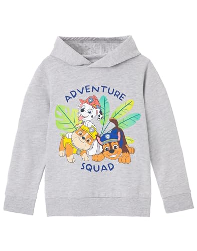Paw Patrol Boys Hooded Sweatshirt | Adventure Squad Chase, Marshall, Rubble Grey Graphic Hoodie | Pups Play Cosy Hoody Jumper