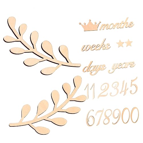 Cartes mensuelles en bois pour shower de bébé et souvenirs de naissance authentiques