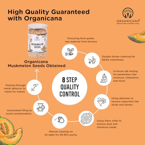 Image of Organicana Natural Muskmelon Seeds 500gm (Pack of 1) | Kharbooj Magaj | Kharbhuja Beej for Eating | High in Protein, Potassium, Magnesium & Iron | Immunity Booster Superfood | Healthy Snack, Topping and Cooking Use