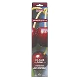 Hosley 40 Pack Incense Sticks – Black Cherry – Perfect for Home, Meditation & Aromatherapy