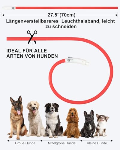 Joytale Leuchthalsband Hund USB Aufladbar Hundehalsband Leuchtend für Große Mittel Kleine Hunde und Welpe, Led Halsband mit 3 Modi für Sicherheit, Rot