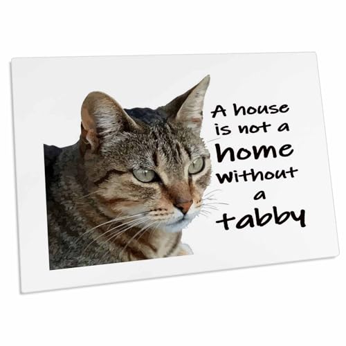 3dRose A House is Not A Home Without A Tabby Cat Desk Pad