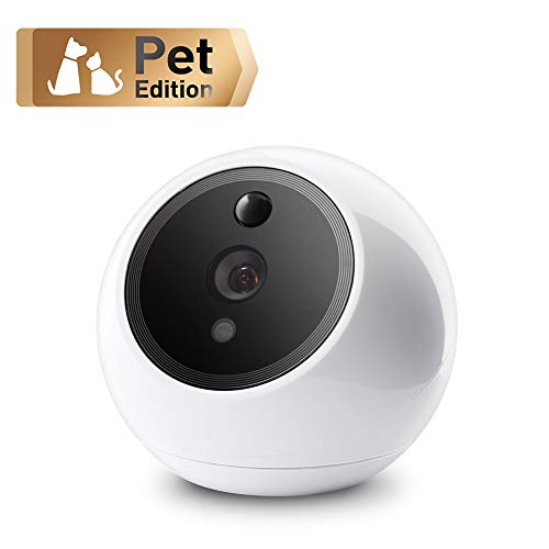 Amaryllo Apollo Pet Edition: Biometric Auto Tracking PTZ Pet Camera with Pet Detection(Dogs/Cats/Birds), Support Fire Warning, Support Person, Vehicle Detection, Support Face Recognition, 1080p