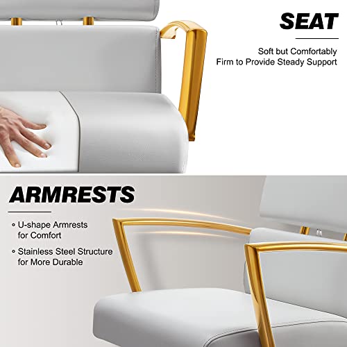 Baasha Salon Chair For Hair Stylist, Gold With Gray Leather Hair Salon Chair, Heavy-Duty Styling Chair Beauty Hair Chair, 360° Swivel, Max Load Weight 330 Lbs - Shiny Gold & Gray #TOP3