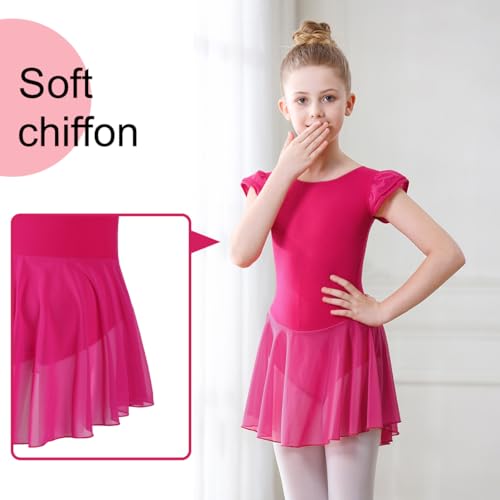 Image of DIPUG Ballet Leotards for Girls Ballet Leotard with Skirt Toddler Dance Leotards Flutter Sleeve and Criss-Cross Back