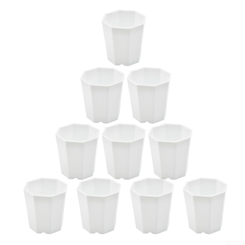 DAZZLEEX Juego de 10 macetas pequeñas de plástico para suculentas y esquejes de plantas