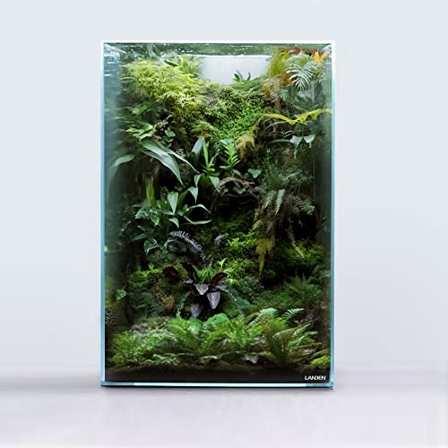 Image of LANDEN Tall Tank, Rimless Low Iron Tank 10GAL 11.8 inch L x 11.8 inch W x 17.7 inch H (30X30X45) cm Small Aquascape Fish Tank, Vertical Aquascape Tank, Black Leveling Mat Included