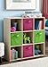 ClosetMaid Cubeicals 9 Cube Storage Shelf Organizer Bookshelf, Square Shape, Easy Assembly - Birch Wood Finish