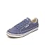 Indigo Distressed