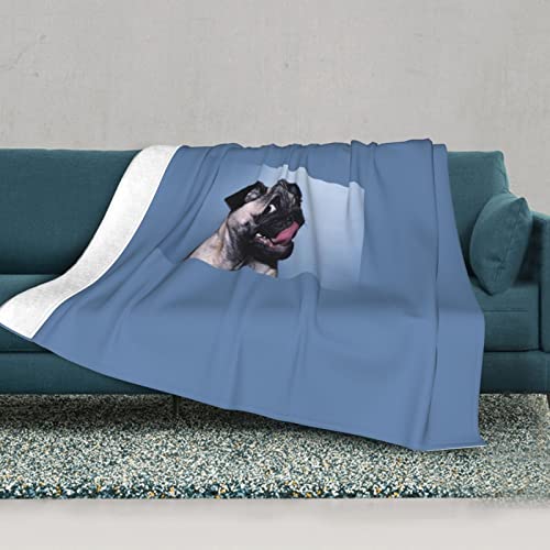 Couverture thermique BAFAFA imprimé chien 203x152 cm pour lit - 3