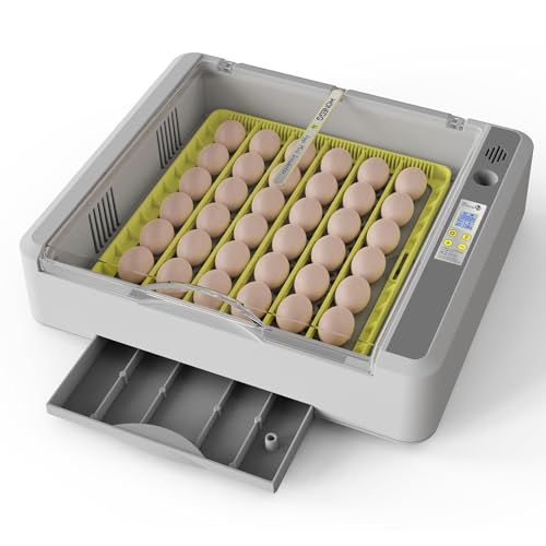 Egg Incubator for Hatching Chick, 36 Eggs Automatic Temp & Humidity Control