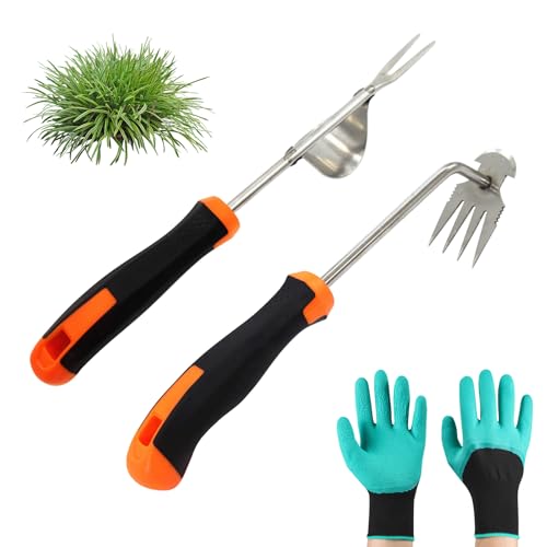 AIBAOBAO Désherbeur Manuel Acier Inoxydable, 2 Pcs 35 cm Arrache Mauvaise Herbes Outils de Désherbage à Main avec Gants Jardinage Arrache Racine Pissenlit pour Creuser Désherber Ameublir, Orange