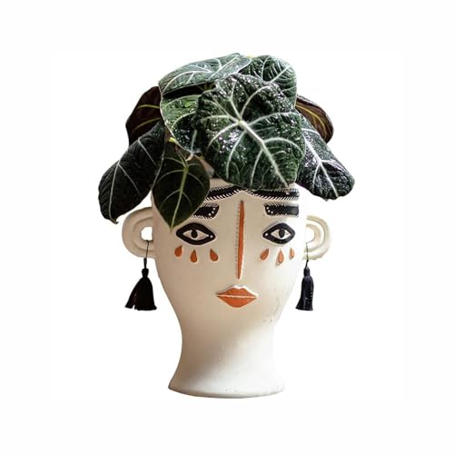 Pots for succulentes en forme de tête avec structure stable pour intérieur - 2
