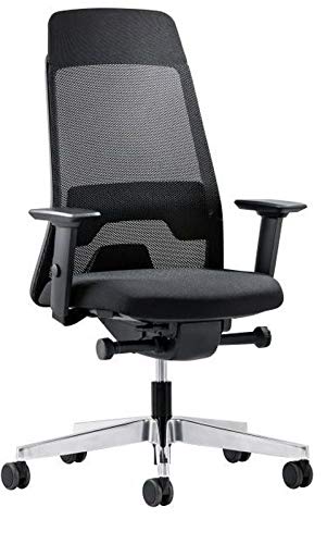 Preisvergleich Produktbild Ergonomischer Bürostuhl Interstuhl Freeway X5 mit Netzrücken