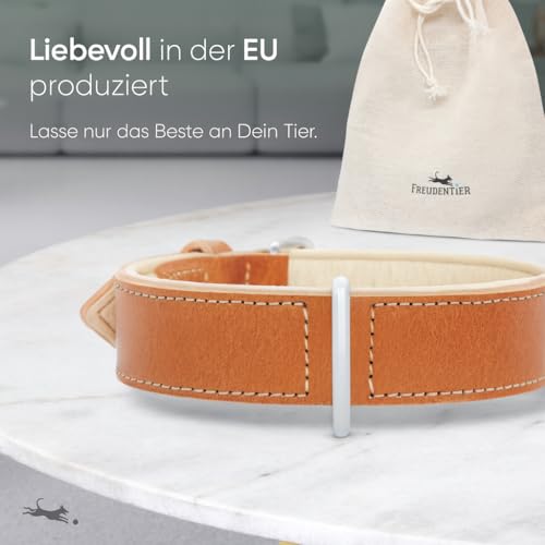 FREUDENTIER® Hundehalsband aus Leder, Made in EU, gefüttert & super komfortabel, hochwertiges breites Lederhalsband aus Vollnarbenleder, Model “Amstelpark” (42-52cm Halsumfang, Cognac)