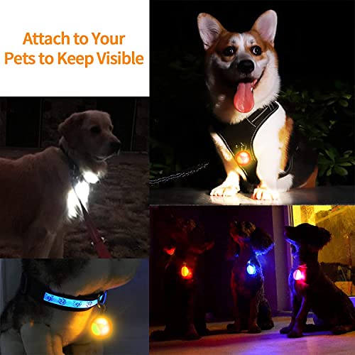 Morpilot LED Cane Collare, 6pcs Clip-On Pet Luce