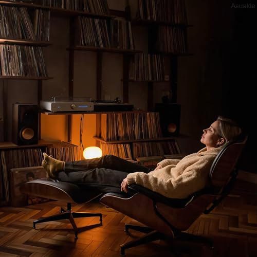 eames lounge chair & ottoman