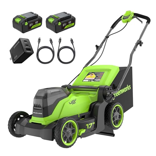Greenworks 48V (24V x 2) Cordless Lawnmower for Large Lawns up to 440m2, 41cm Cutting Width, 40L Bag, Lawnmower with Two 4Ah Batteries and Twin Charger, 3 Year Guarantee MO48L422-01