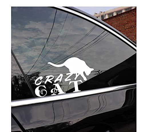 MDGCYDR Adesivi Auto 16.6X9.4 Cm Divertente