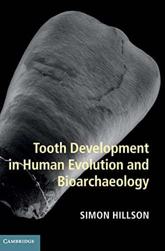 Tooth Development in Human Evolution and