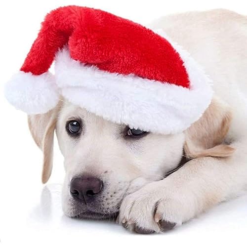 Cat Christmas Cosplay Small Dog Costumes Santa Hat Xmas Small Pets Hat