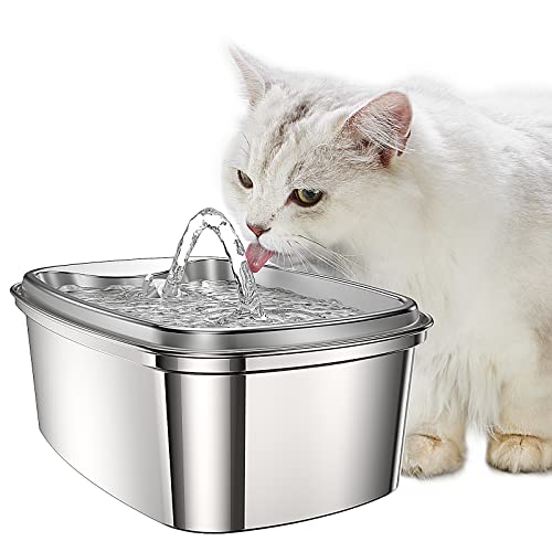 best cat fountain 2022