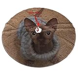 Verwenden Sie für Halloween, Weihnachten und Neujahr dieses lustige Accessoire, um ein wenig Urlaubsfreude zu bringen.