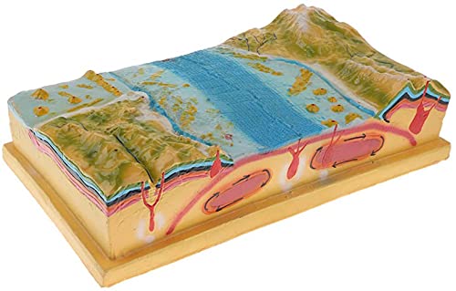 DYTAH Modelo De Estructura De Placas Y Morfología De La Superficie, Kit De Exhibición De Modelos De Placas 3D, Geografía De La Escuela Secundaria