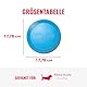 KONG Puppy Flyer - Wurfscheibe Hundespielzeug aus weichem Naturkautschuk - Sanftes Gummispielzeug für Wachsende Welpen - Für Kleine Welpen