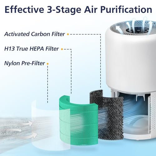 Core 300 Toxin Absorber Replacement Filter, Compatible with LEVOIT Core 300/Core 300S Air Purifier, 3-in-1 H13 Grade, True HEPA Replacement Filter, Compare to Part # Core 300-RF-TX, Green, 2 Pack