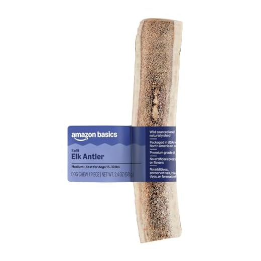 Amazon Brand – Wag Split Elk Antler, Naturally Shed, Medium 6–7.5 inches