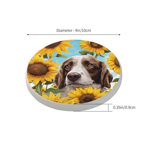 Dessous de verre terre de diatomée absorbant pour bouteille et café - 4