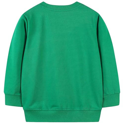 Image of AIWUHE Toddler Cotton Sweatshirt Boys Girls Pullover Long Sleeve Tops 2-6Y | Tops Blouse, Cotton T-Shirt, Fall Winter Clothes