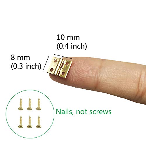 Daimay 50 Pieces Mini Pure Copper Hinges Retro Brass Hinges with 200 Pieces Replacement Nails for Wooden Box Jewelry Chest Box Cabinet DIY Accessories - Image 3