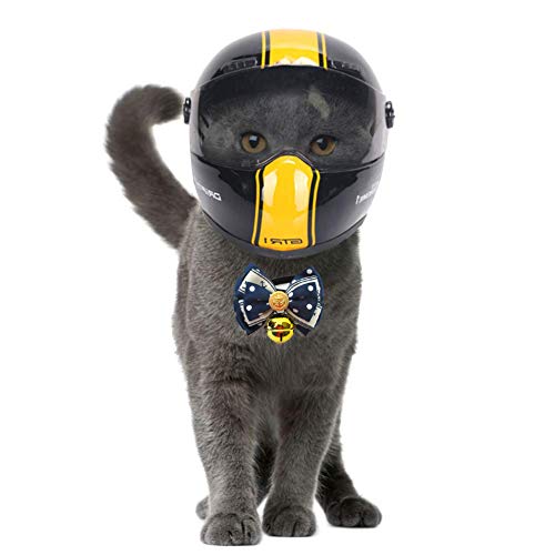 casco integrale per cani migliore prezzo 2021 vendita online