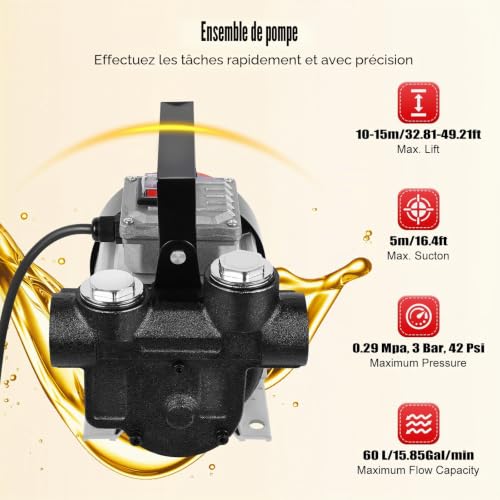 60L/min 550W Pompe diesel électrique, Pompe à Carburant Auto-Amorçante Pompe Gasoil Elettrice Liquides Diesel Pompe avec Filter-Kit 230V – vue 4