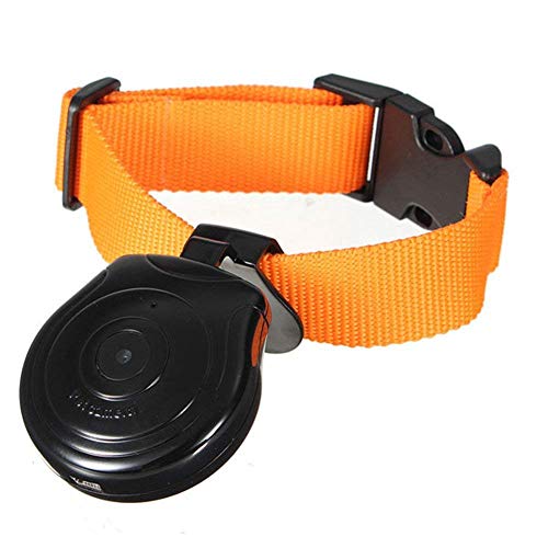 Digital Pet Collar Cam Camera DVR Video Recorder Monitor for Dog Cat Puppy