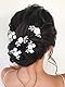 Edary Blume Haarschmuck Hochzeit Silber Strass Haarnadeln Braut Haarteile für Frauen und Mädchen (5 Stück)