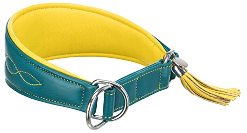 Natalis Active Comfort para Galgo, S-M: 33 – 42 cm 60 mm, Queroseno Amarillo Amarillo, Cuero, Collares de Cuello, cabestros, Perros, Mensajes