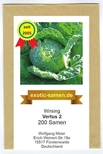 Wirsingkohl - Wirsing - Vertus 2-200 Samen Wirsingkohl - Wirsing - Vertus 2-200 Samen