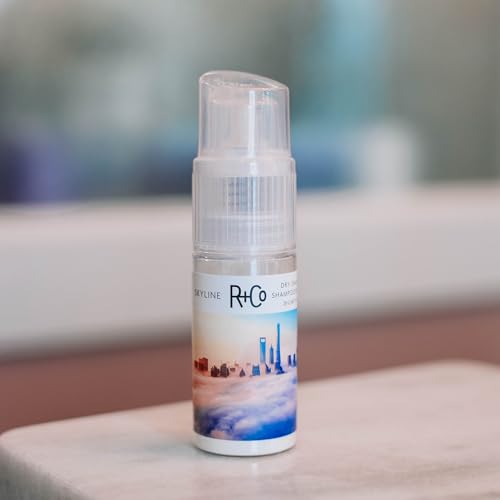 R+Co Skyline Dry Shampoo Powder | Intense Oil Absorption | Revives Volume, Hair Texture and Grip | TSA Approved | 1 Fl Oz