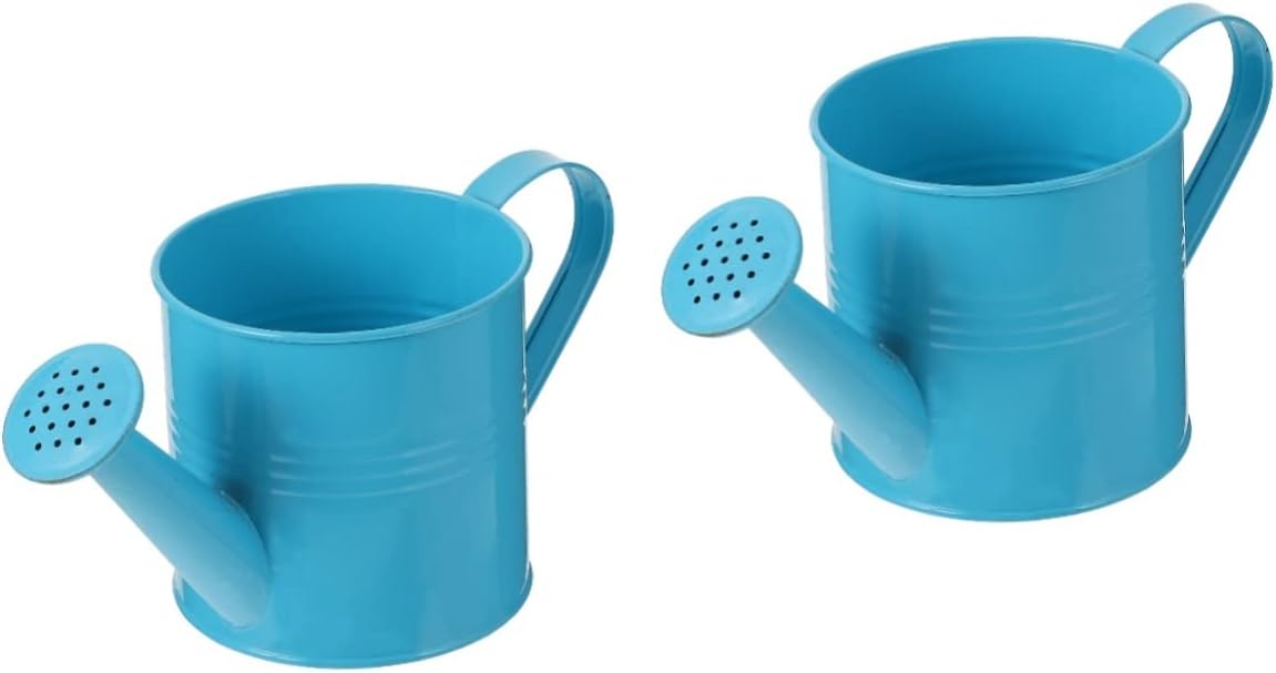 Watering can,Tin Flower Watering Kettle Outdoor Watering Can Kids Outdoor Playset Large Outdoor Planters Watering Sprinkler Can Metal Watering Can Galvanized Metal Flower Vase Home Watering Can(Bluex2