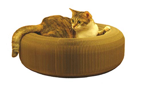 KittyDoo Donut Cat Bed, Papier id D'Abeille Plié Portable, Respectueux De L'Environnement
