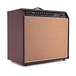 Hartwood 60W Acoustic Guitar Amplifier with Mic-Input Reverb & EQ