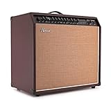 Hartwood 60W Acoustic Guitar Amplifier with Mic-Input Reverb & EQ