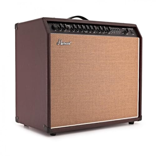 Hartwood 60W Acoustic Guitar Amplifier with Mic-Input Reverb & EQ